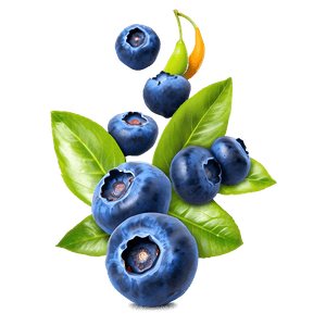 Blueberry Splash PNG 05242024 PNG image with transparent background