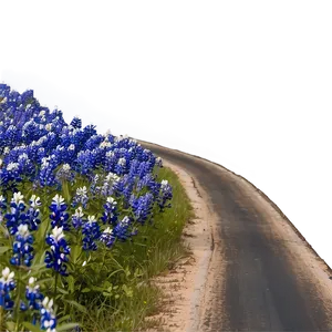 Bluebonnet Country Road Png Xdu PNG Image