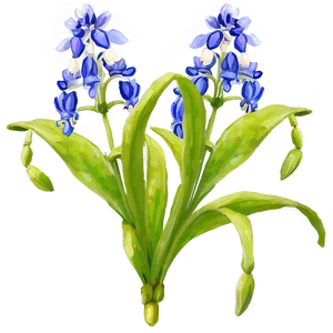 Bluebonnet Floral Pattern Png Giw PNG Image