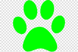 Blues Clues Green Paw Print PNG Image