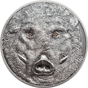 Boar Engraved Coin2018 PNG