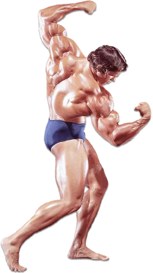 Bodybuilder Classic Pose.png PNG Image