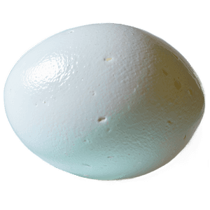 Boiled Egg PNG 10 PNG image with transparent background