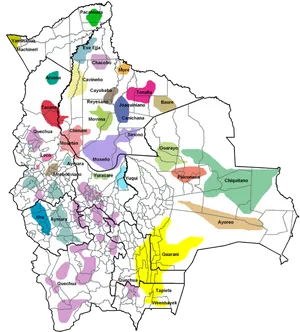 Bolivia Ethnolinguistic Map PNG Image