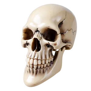 Bone Jewelry Png Qdk82 PNG Image