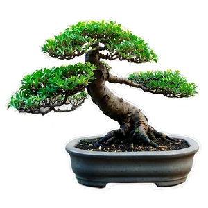 Bonsai Plant Clipart Png Qns43 PNG Image