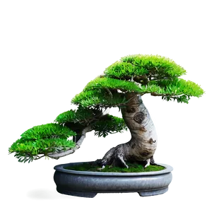 Bonsai Tree Art Png 06132024 PNG Image