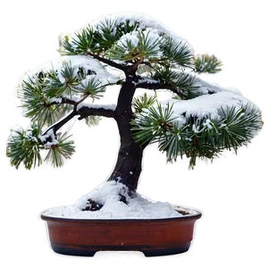 Bonsai Tree In Snow Png Clp PNG Image