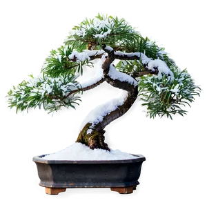 Bonsai Tree In Snow Png Lhw PNG Image