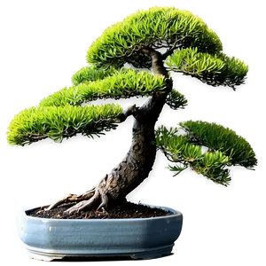 Bonsai Tree Toolkit Png 06202024 PNG Image