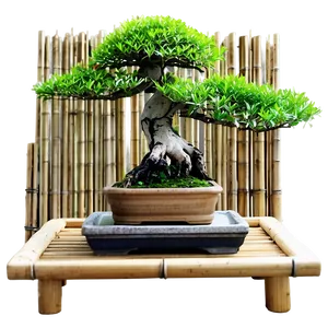 Bonsai Tree With Bamboo Png Uin21 PNG Image