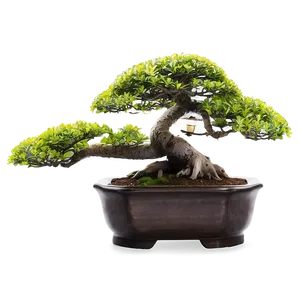 Bonsai Tree With Lanterns Png 31 PNG Image