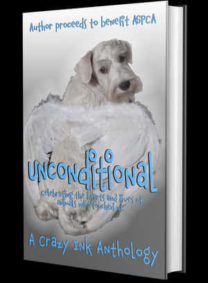 Book, HD Png Download PNG image with transparent background