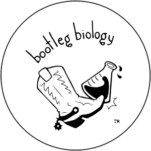 Bootleg Biology, HD Png Download PNG image with transparent background