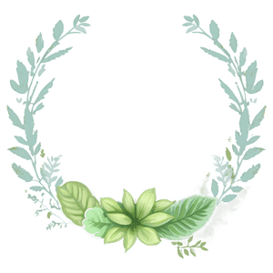 Botanical Frame PNG 39 PNG image with transparent background