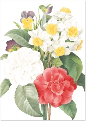 Botanical Illustration Floral Arrangement PNG Image