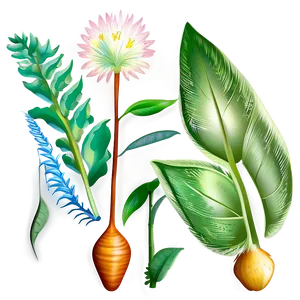 Botanical Wall Prints Png Goa61 PNG Image