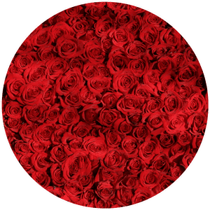 Transparent Red Circle Frame Png - Roses Wallpaper Iphone X, Png Download PNG image with transparent background