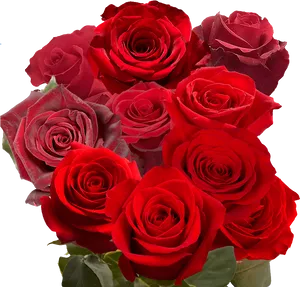 Bouquet_of_ Red_ Roses_ Black_ Background.jpg PNG Image