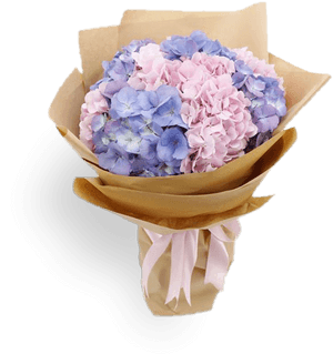 Transparent Hydrangea Png - Hydrangea Bouquet, Png Download PNG image with transparent background