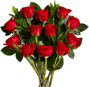 Dozen Gushing Red Rose - Red Roses, HD Png Download PNG image with transparent background