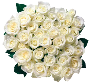 Bouquetof White Roses PNG Image