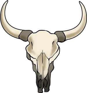 Bovine Skull Illustration PNG Image