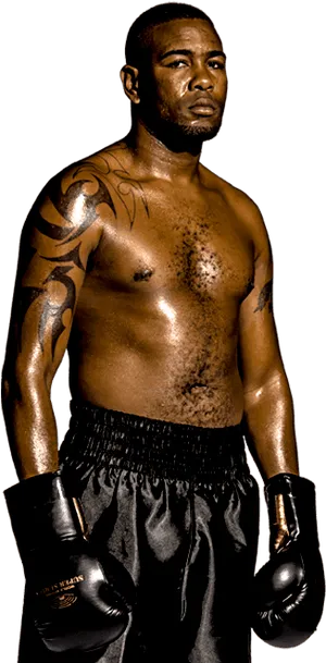 Boxer Readyfor Battle PNG Image