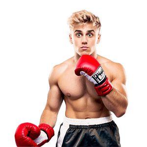 Boxer Readyfor Fight PNG