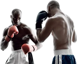 Boxers Facing Off Readyto Fight PNG Image