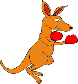 Boxing Kangaroo Cartoon PNG Image