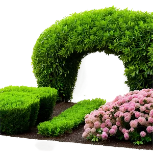 Boxwood Garden Png Aea PNG Image