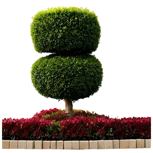 Boxwood Hedge Border Png 06212024 PNG Image