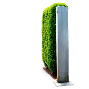 Boxwood Hedge Border Png 98 PNG Image