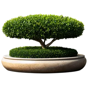 Boxwood Landscape Png Blr PNG Image