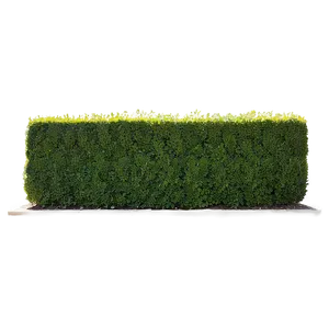 Boxwood Wall Png Ahn74 PNG Image