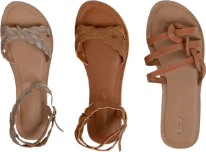 Braided Strap Brown Sandals Display PNG Image