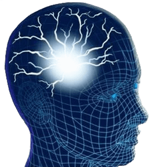 Human Brain Png Image - Human Brain Images Hd Png, Transparent Png PNG image with transparent background