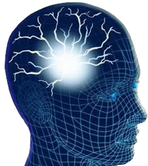 Brain_ Activity_ Illustration PNG Image