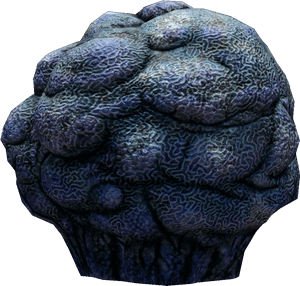 Subnautica Wiki - Subnautica Unnamed Coral Species, HD Png Download PNG image with transparent background
