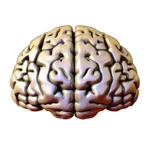 Brain Emoji D PNG Image