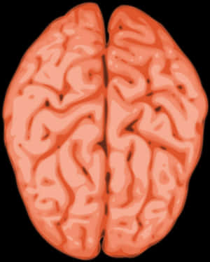 Brain Illustration Abstract PNG image with transparent background