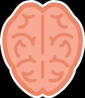 Brain Illustration Graphic PNG image with transparent background