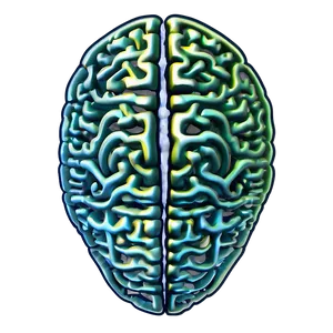 Brain Structure Outline Png 12 PNG Image