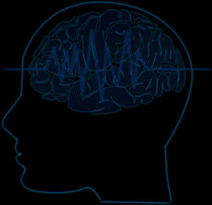 Brainwave Activity Outline PNG