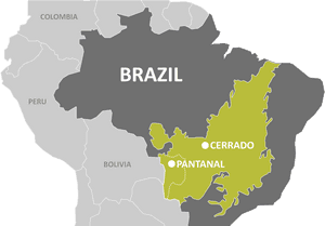 One Of The 2016 Grantees Was The Giant Armadillo Conservation - Biomes Of Brazil Map, HD Png Download PNG image with transparent background