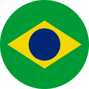 File - Brazilian Flag - Round - Svg - Brazil Flag Round Png, Transparent Png PNG image with transparent background
