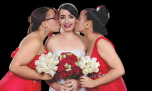 Brideand Bridesmaids Affection PNG image with transparent background