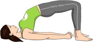 Setu Bandh Sarvangasana Yoga Png, Transparent Png PNG with transparent background