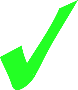 Bright Green Check Mark PNG Image